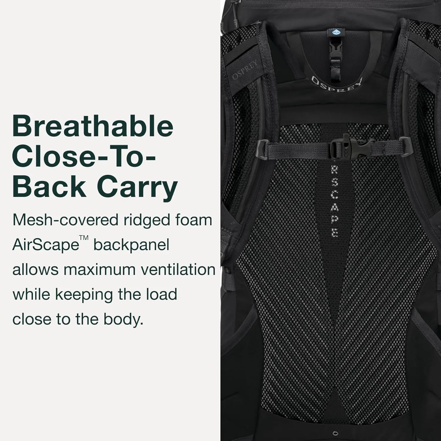 Osprey Sportlite 30L Unisex Lightweight Hiking Backpack, Tungsten/Grey Wolf, S/M