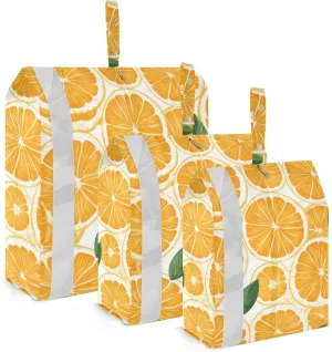 SPRIPORT Juicy Orange Slice 3 Set Compression Packing Cubes for Travel Lightweight Luggage Organizer Bags for Carry on Suitcase Travel Accessories for Vacation Woman Man Clothes